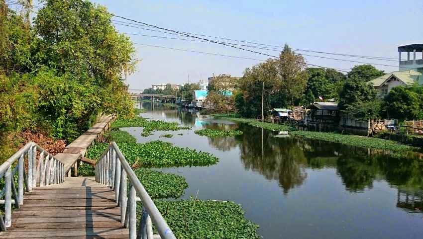 Cycling Tour Bangkok