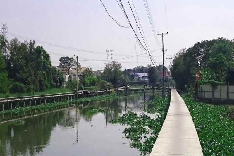 Canals Bangkok
